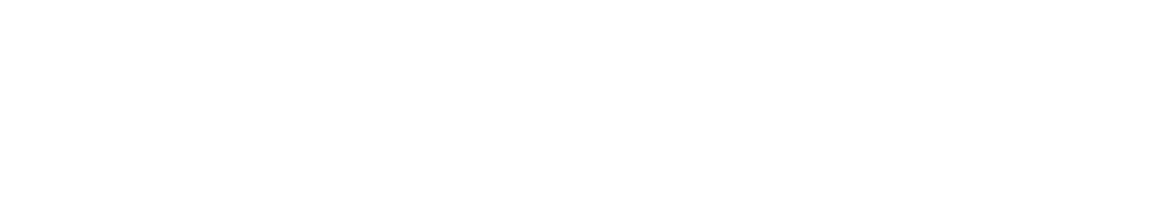Work Beyond Walls